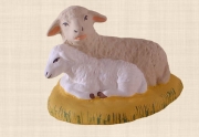 mouton-agneau